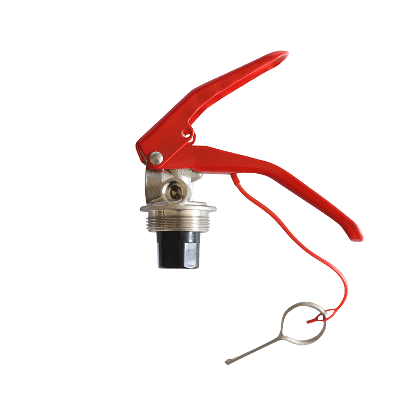 2KG dry powder fire extinguisher valve