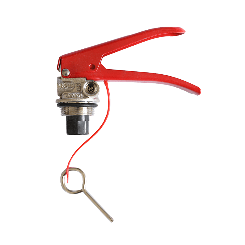4~12KG dry powder fire extinguisher valve