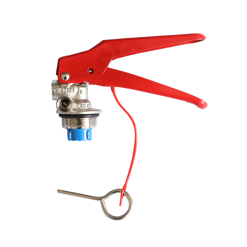 4~12KG dry powder fire extinguisher valve