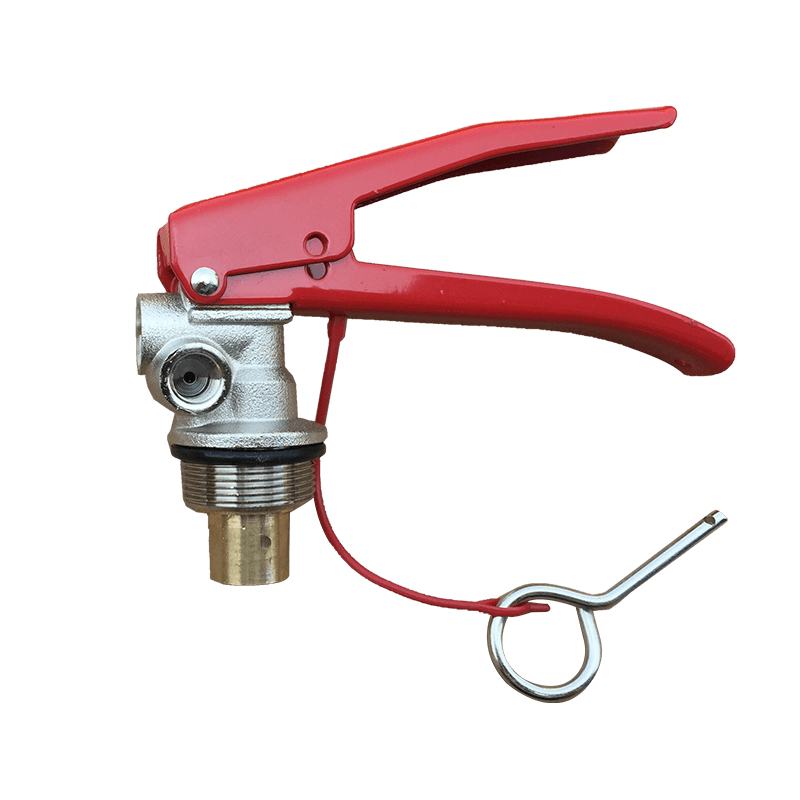 6~12KG dry powder fire extinguisher valve