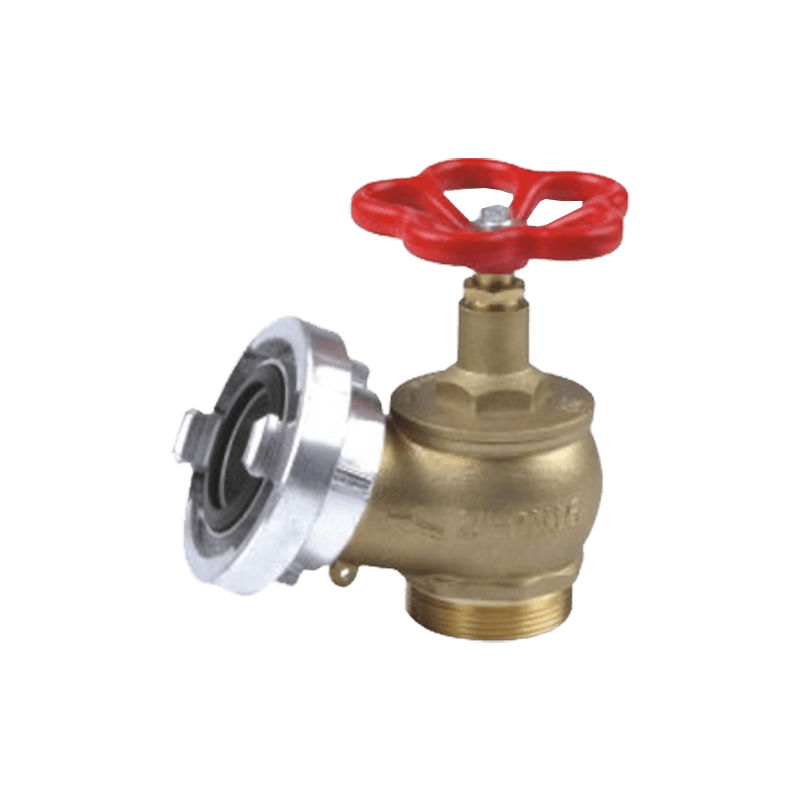 Fire Hydrant Valve-5